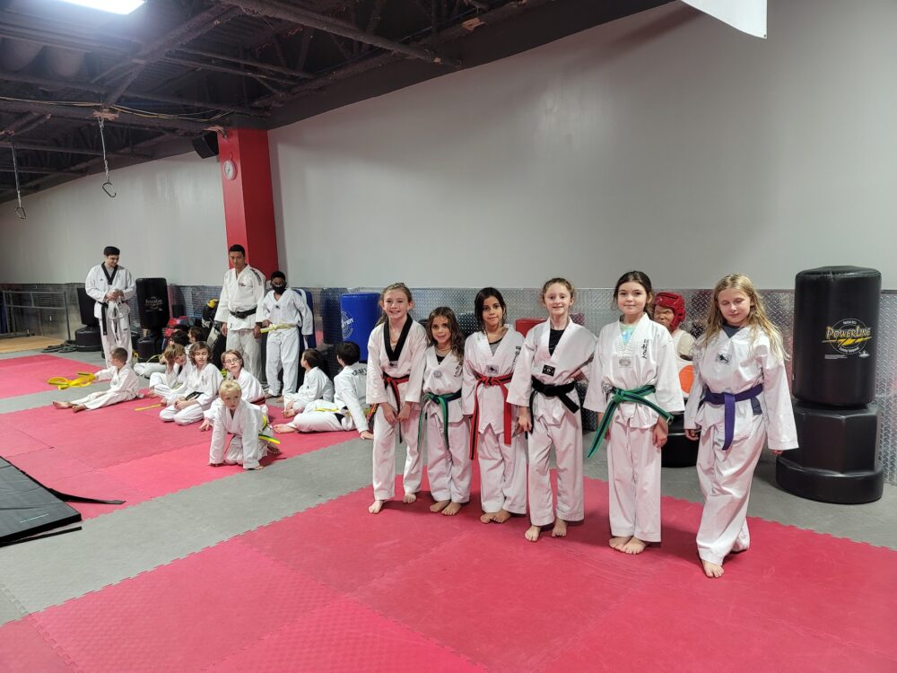 Parkland Taekwondo Center Children/Teen Taekwondo (ages 8 & up)